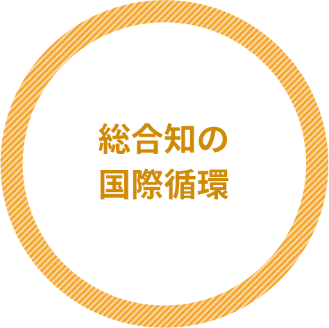 総合知の国際循環